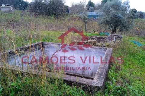 Helårsgrund i Abrantes, Santarem, Abrantes - € 55.000 | Ref: SÒL_58 - foto 10
