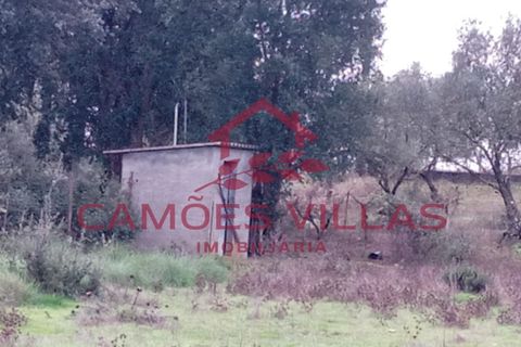 Helårsgrund i Abrantes, Santarem, Abrantes - € 55.000 | Ref: SÒL_58 - foto 11