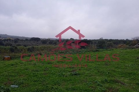 Helårsgrund i Abrantes, Santarem, Abrantes - € 55.000 | Ref: SÒL_58 - foto 12