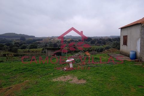 Helårsgrund i Abrantes, Santarem, Abrantes - € 55.000 | Ref: SÒL_58 - foto 14