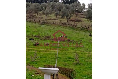 Helårsgrund i Abrantes, Santarem, Abrantes - € 55.000 | Ref: SÒL_58 - foto 22