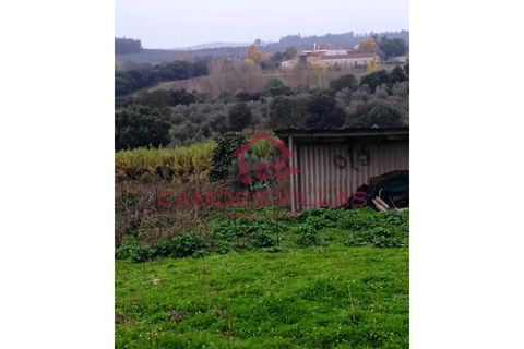 Helårsgrund i Abrantes, Santarem, Abrantes - € 55.000 | Ref: SÒL_58 - foto 23