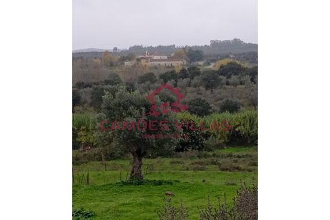 Helårsgrund i Abrantes, Santarem, Abrantes - € 55.000 | Ref: SÒL_58 - foto 24