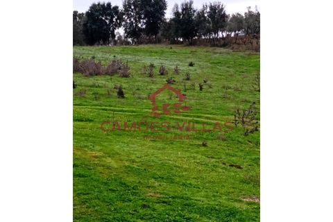 Helårsgrund i Abrantes, Santarem, Abrantes - € 55.000 | Ref: SÒL_58 - foto 25