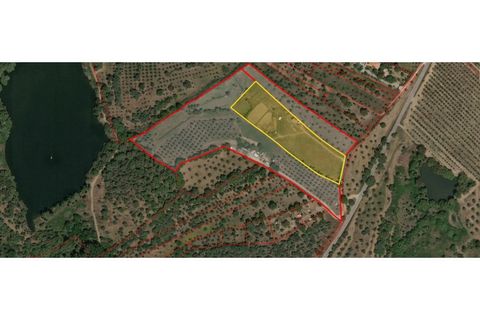 Helårsgrund i Abrantes, Santarem, Abrantes - € 55.000 | Ref: SÒL_58 - foto 32