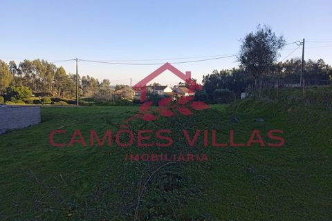 Masia a Abrantes, Santarem, Abrantes - € 35.000 | Ref: CAS_65 - foto 5