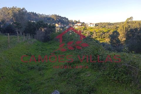 Masia a Abrantes, Santarem, Abrantes - € 35.000 | Ref: CAS_65 - foto 7