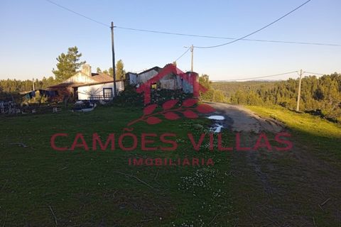 Masia a Abrantes, Santarem, Abrantes - € 35.000 | Ref: CAS_65 - foto 9