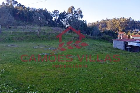Masia a Abrantes, Santarem, Abrantes - € 35.000 | Ref: CAS_65 - foto 3