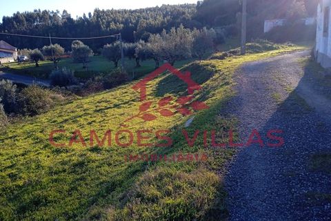 Masia a Abrantes, Santarem, Abrantes - € 35.000 | Ref: CAS_65 - foto 15