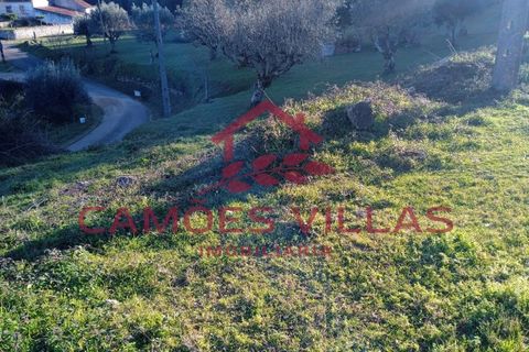 Masia a Abrantes, Santarem, Abrantes - € 35.000 | Ref: CAS_65 - foto 16