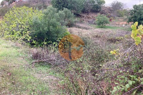 Terra a Castro Marim, Faro, Castro Marim - € 7.900 | Ref: SU-CS-TR-93070 - foto 15
