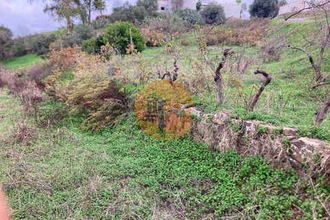 Terra a Castro Marim, Faro, Castro Marim - € 6.950 | Ref: SU-CS-TR-93071 - foto 19