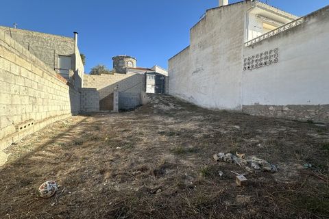 Terra a Benijofar, Alicante, Benijofar - € 96.000 | Ref: AG19149932 - foto 4