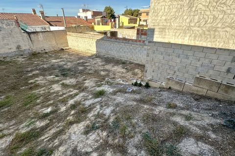 Terra a Benijofar, Alicante, Benijofar - € 96.000 | Ref: AG19149932 - foto 7