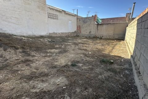 Terra a Benijofar, Alicante, Benijofar - € 96.000 | Ref: AG19149932 - foto 11