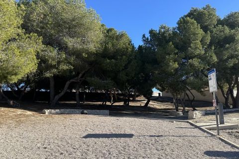 Terra a Benijofar, Alicante, Benijofar - € 96.000 | Ref: AG19149932 - foto 16