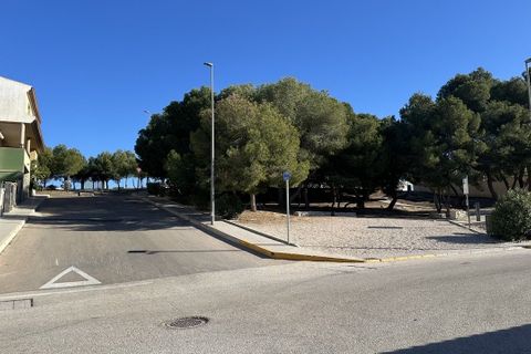 Terra a Benijofar, Alicante, Benijofar - € 96.000 | Ref: AG19149932 - foto 19