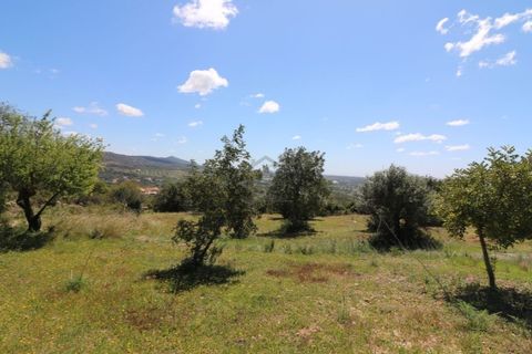 Helårsgrund i Estoi, Faro, Estoi - € 450.000 | Ref: RPO2073P - foto 7