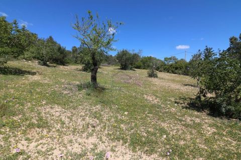 Helårsgrund i Estoi, Faro, Estoi - € 450.000 | Ref: RPO2073P - foto 8