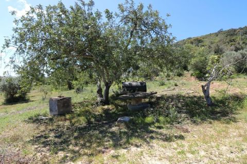 Helårsgrund i Estoi, Faro, Estoi - € 450.000 | Ref: RPO2073P - foto 9