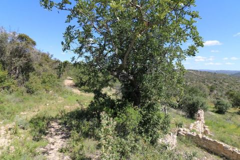 Helårsgrund i Estoi, Faro, Estoi - € 450.000 | Ref: RPO2073P - foto 11