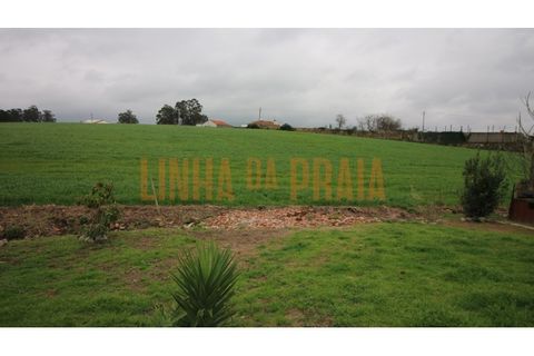 Helårsgrund i Vila do Conde, Porto, Vila do Conde - € 85.000 | Ref: 5526 - foto 7
