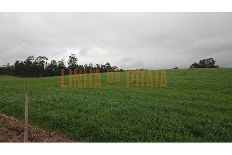 Helårsgrund i Vila do Conde, Porto, Vila do Conde - € 85.000 | Ref: 5526 - foto 8