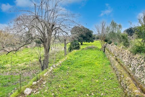 Masia a Capdepera, Mallorca, Capdepera - € 950.000 | Ref: F-0101 - foto 28