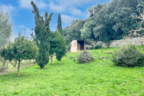 Masia a Capdepera, Mallorca, Capdepera - € 950.000 | Ref: F-0101 - foto 29