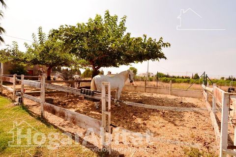 Villa i Oliva, Valencia, Oliva - € 750.000 | Ref: 092XBOM750.FPV-C/3716 - foto 12