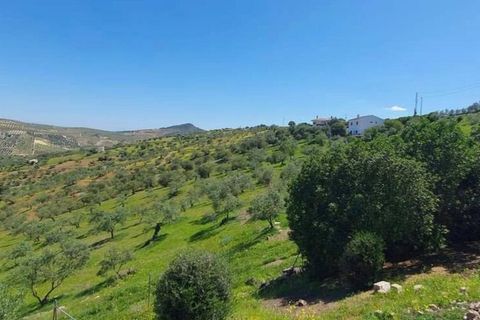 Herregård i Tolox, Malaga, Tolox - € 290 000 | Ref: EXP09208/8930 - foto 12