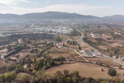 Terra a Fundao, Castelo Branco, Fundao - € 275.000 | Ref: 255250043 - foto 4