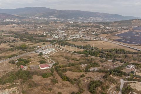 Terra a Fundao, Castelo Branco, Fundao - € 275.000 | Ref: 255250043 - foto 5