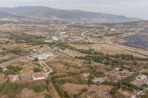 Terra a Fundao, Castelo Branco, Fundao - € 275.000 | Ref: 255250043 - foto 6
