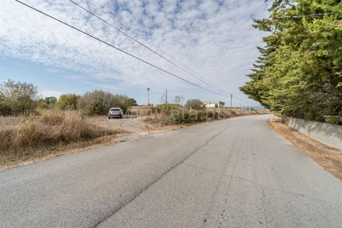 Terra a Fundao, Castelo Branco, Fundao - € 275.000 | Ref: 255250043 - foto 7