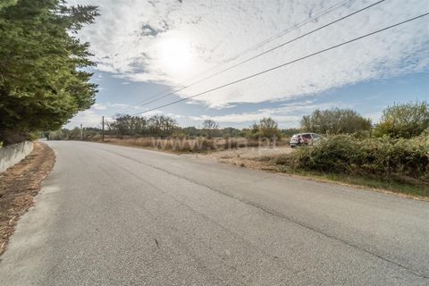 Terra a Fundao, Castelo Branco, Fundao - € 275.000 | Ref: 255250043 - foto 8
