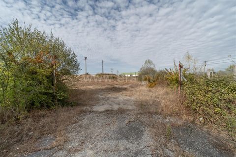 Terra a Fundao, Castelo Branco, Fundao - € 275.000 | Ref: 255250043 - foto 9