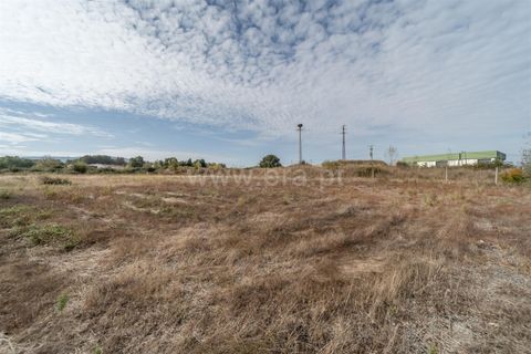 Terra a Fundao, Castelo Branco, Fundao - € 275.000 | Ref: 255250043 - foto 10