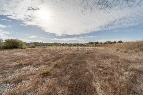 Terra a Fundao, Castelo Branco, Fundao - € 275.000 | Ref: 255250043 - foto 11