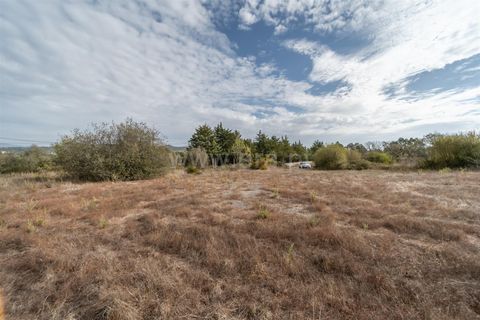 Terra a Fundao, Castelo Branco, Fundao - € 275.000 | Ref: 255250043 - foto 12