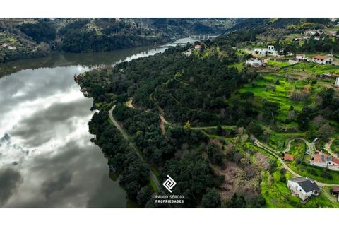 Helårsgrund i Penhalonga e Pacos de Gaiolo, Porto, Penhalonga e Pacos de Gaiolo - € 600.000 | Ref: PG-4686 - foto 5