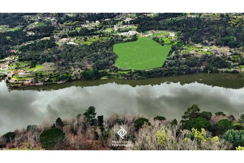 Helårsgrund i Penhalonga e Pacos de Gaiolo, Porto, Penhalonga e Pacos de Gaiolo - € 600.000 | Ref: PG-4686 - foto 4