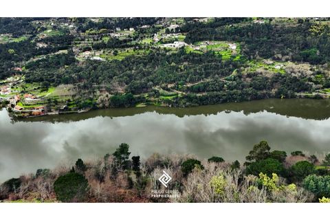 Helårsgrund i Penhalonga e Pacos de Gaiolo, Porto, Penhalonga e Pacos de Gaiolo - € 600.000 | Ref: PG-4686 - foto 6