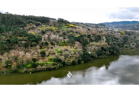 Helårsgrund i Penhalonga e Pacos de Gaiolo, Porto, Penhalonga e Pacos de Gaiolo - € 600.000 | Ref: PG-4686 - foto 2