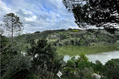 Helårsgrund i Penhalonga e Pacos de Gaiolo, Porto, Penhalonga e Pacos de Gaiolo - € 600.000 | Ref: PG-4686 - foto 8