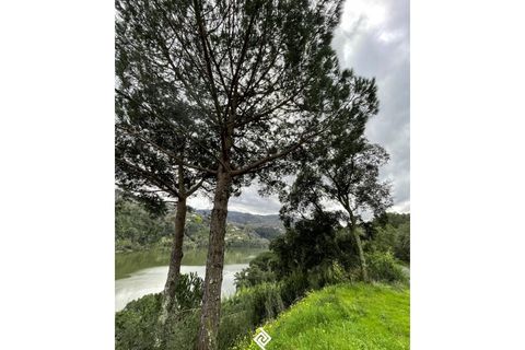 Helårsgrund i Penhalonga e Pacos de Gaiolo, Porto, Penhalonga e Pacos de Gaiolo - € 600.000 | Ref: PG-4686 - foto 9