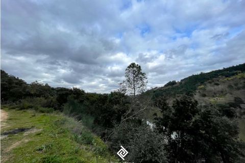 Helårsgrund i Penhalonga e Pacos de Gaiolo, Porto, Penhalonga e Pacos de Gaiolo - € 600.000 | Ref: PG-4686 - foto 10