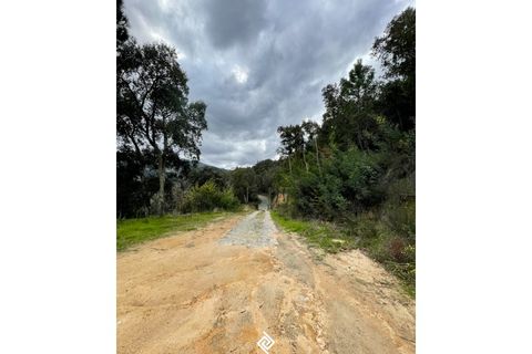 Helårsgrund i Penhalonga e Pacos de Gaiolo, Porto, Penhalonga e Pacos de Gaiolo - € 600.000 | Ref: PG-4686 - foto 11