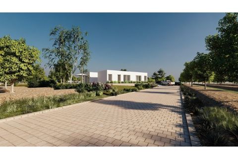 Villa i Algorfa, Alicante, Algorfa - € 995 000 | Ref: N8550 - foto 8
